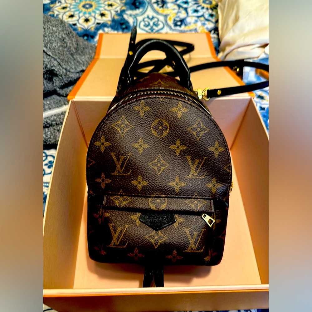 Louis Vuitton Palm Springs Mini